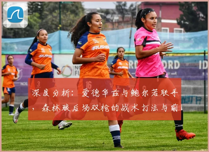 深度分析：爱德华兹与鲍尔若联手，森林狼后场双枪的战术打法与前景展望