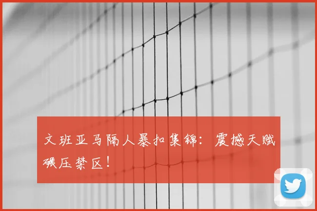 文班亚马隔人暴扣集锦：震撼天赋碾压禁区！